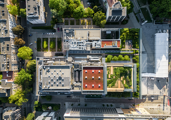 Multifunctional Green Roof Technology Protecting Buildings And The Environment